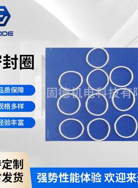 供应Xtreme下缸体密封圈组件 24B732白色密封垫圈固瑞克密封圈