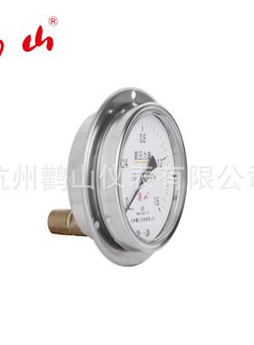 YA100BFZT氨用 不锈钢轴向带边压力表 轴向带边压力表 厂家直销