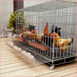 笼e子家用养鸡特大号自动清粪折叠养殖笼鸡舍铁丝网鸭鹅 鸡下蛋