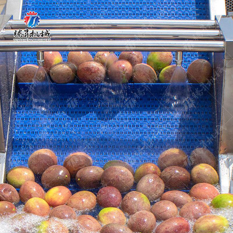 食蔬品机械果蔬清洗 蔬清洗线 果果清洗风干线 线STX阶梯风干机