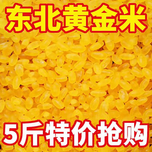 【农家精选】正宗东北黄金米现磨粗粮正宗农家特产玉米大米特色