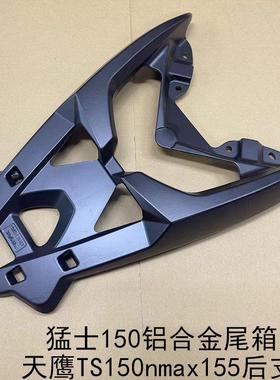 适用猛士Nmax155摩托车后支架天鹰TS150后货架加大后备尾箱架边箱