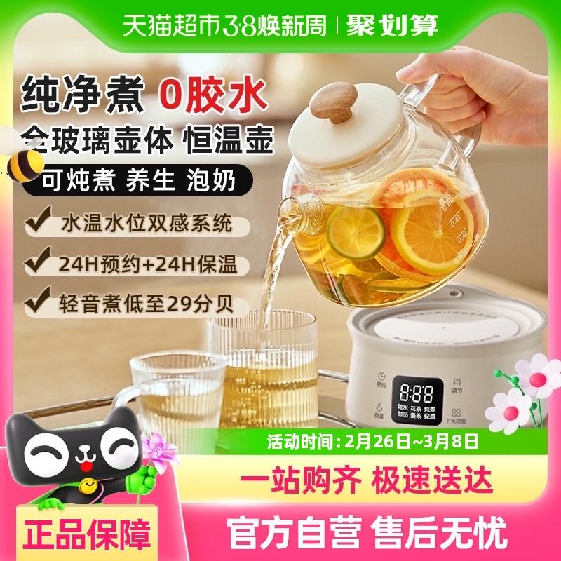 小熊养生壶家用多功能办公室小型全玻璃花茶壶新款婴儿泡奶煮茶壶