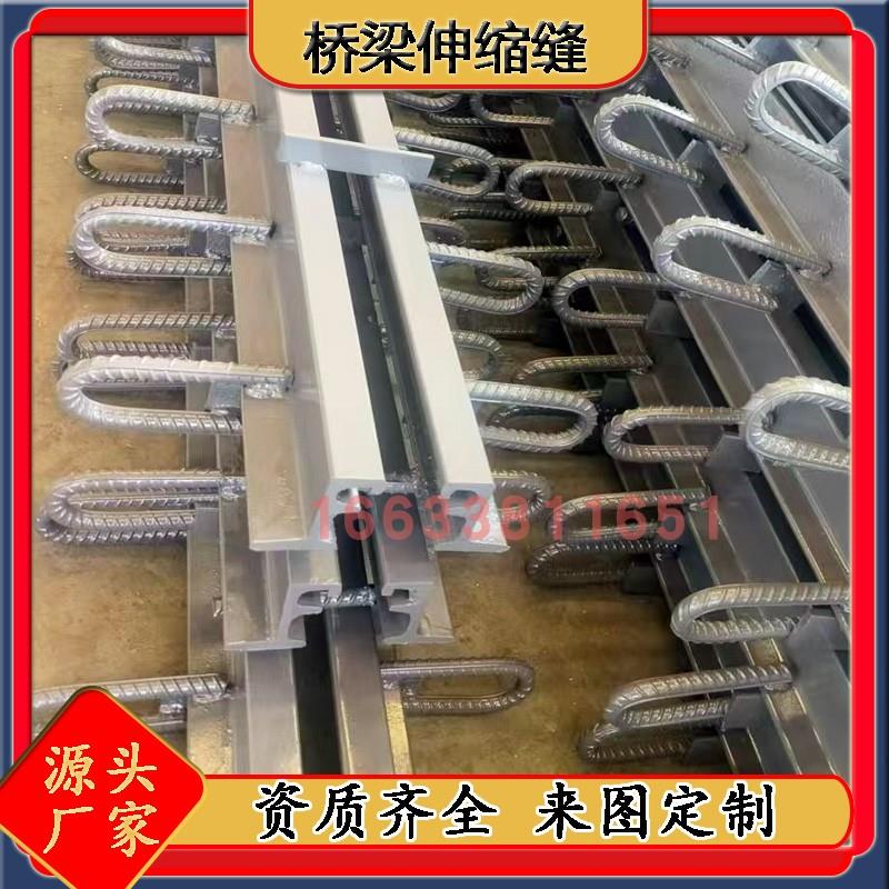 桥梁伸缩缝模数式C4060E80RG160F异型钢梳齿板毛勒伸缩缝装置胶条