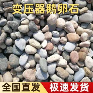 天然河卵石变电站用鹅卵石滤料河滩石园林绿化景观石变压用