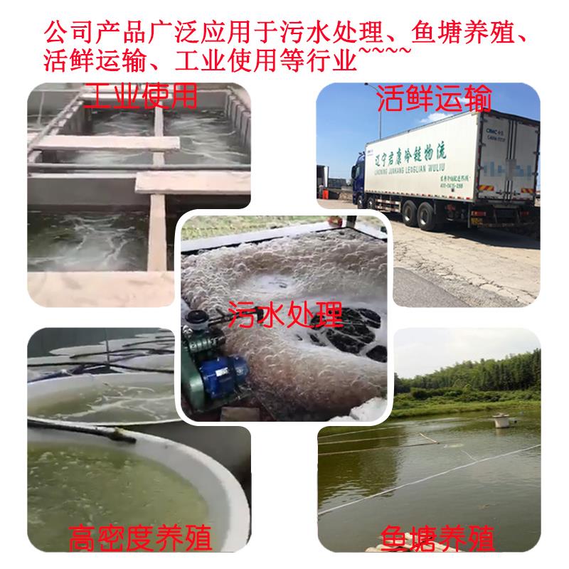 正林两叶三叶罗茨鼓风机鱼塘增氧泵运鲜车养殖污水处理高压曝气机