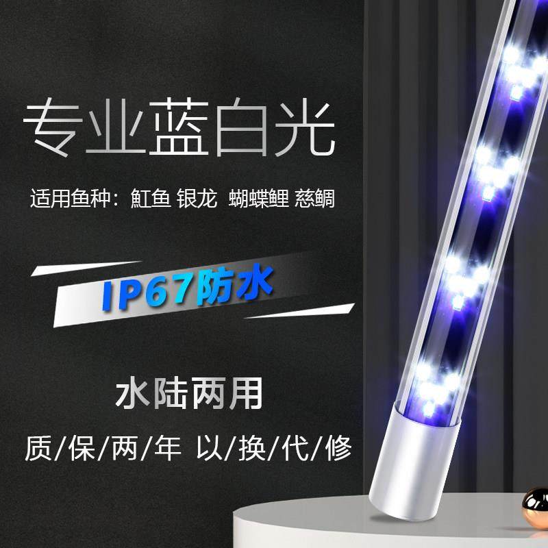 鱼缸灯led超亮蓝白光三湖慈鲷蝴蝶鲤专用观赏潜水灯管海鲜池灯