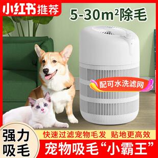 吸猫毛空气净化器宠物专用吸浮猫用除浮毛吸毛净化机养猫吸毛机狗