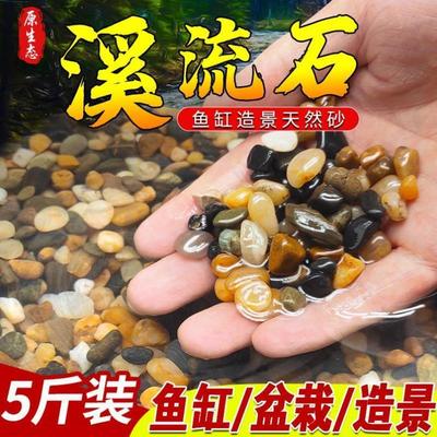 鱼缸底部砂石专用天然原生溪流石大块火山石乌龟缸造景石头子铺底