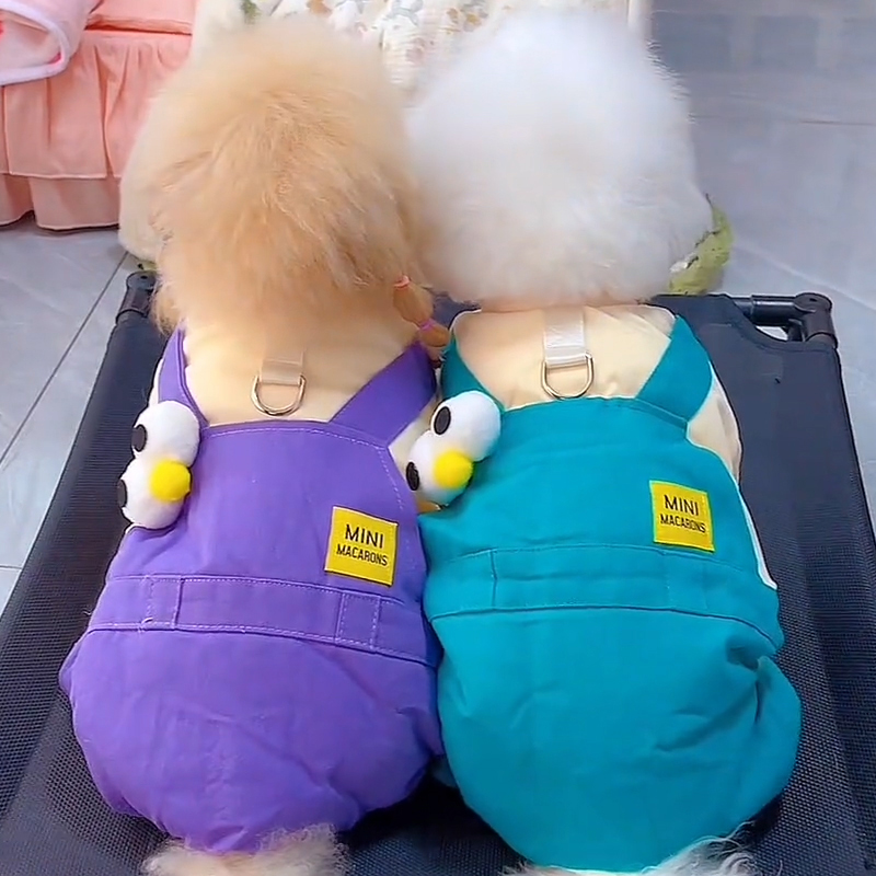 狗狗衣服秋冬款卡通萌趣背带裤比熊泰迪小型幼犬冬季加厚四脚棉衣