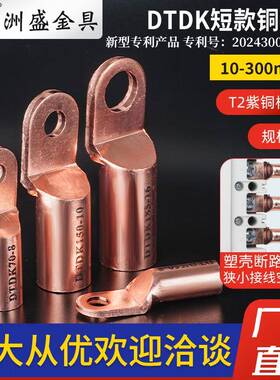 DTDK35/50/70/95-8/10短款SC小方头铜鼻子接线端子塑壳断路器专用