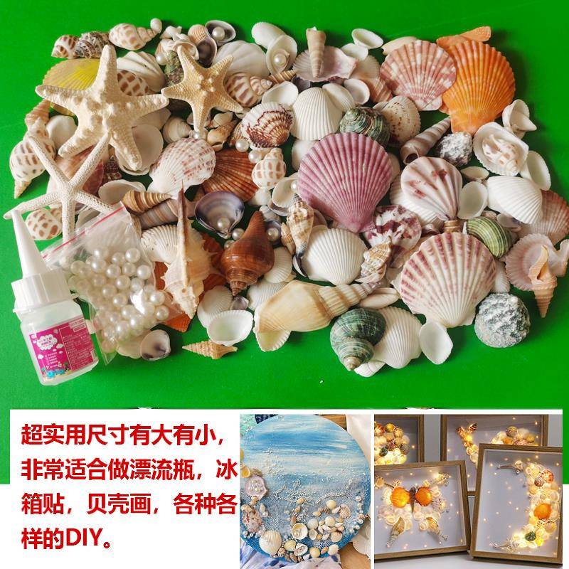 天然贝壳海螺海星鱼缸造景创意diy墙贴橱窗婚庆摆件海洋科普材料