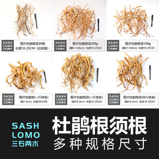 杜鹃根枝条 微景观须根南美缸迷你小鱼缸树枝沉木造景装饰树枝条