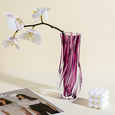 朗旭玻璃花瓶小众风设计风花瓶茶几餐桌水培插花软装现代轻奢摆件