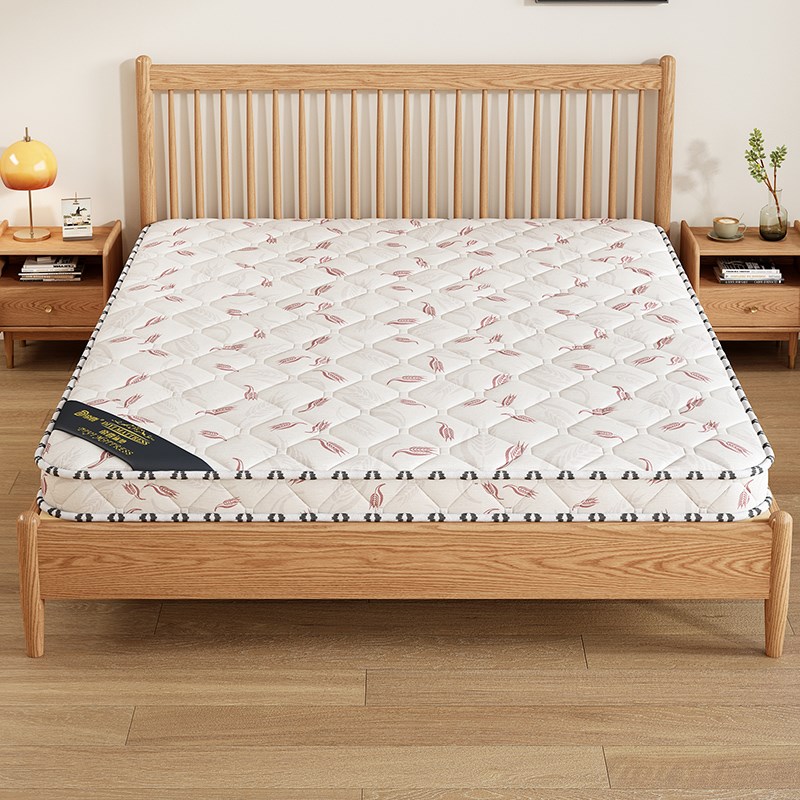 床垫椰棕家用护脊棕榈硬垫10cm厚软床垫加硬租房可折叠床垫子