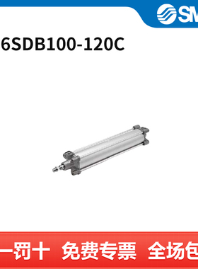SMC C96系列单杆双作用标准气缸 C96SDB100-120C 个