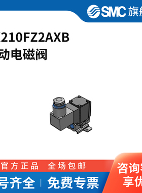 SMC官方正品VX系列电磁阀VX210FZ2AXB两位两通DC24V