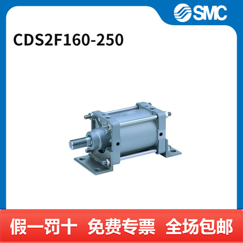 SMC CS2系列气缸 CDS2F160-250 个