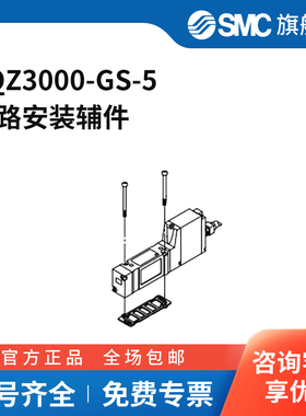 SMC官方正品垫圈、垫片、小螺钉组件VQZ3000-GS-5适用于VQZ3000