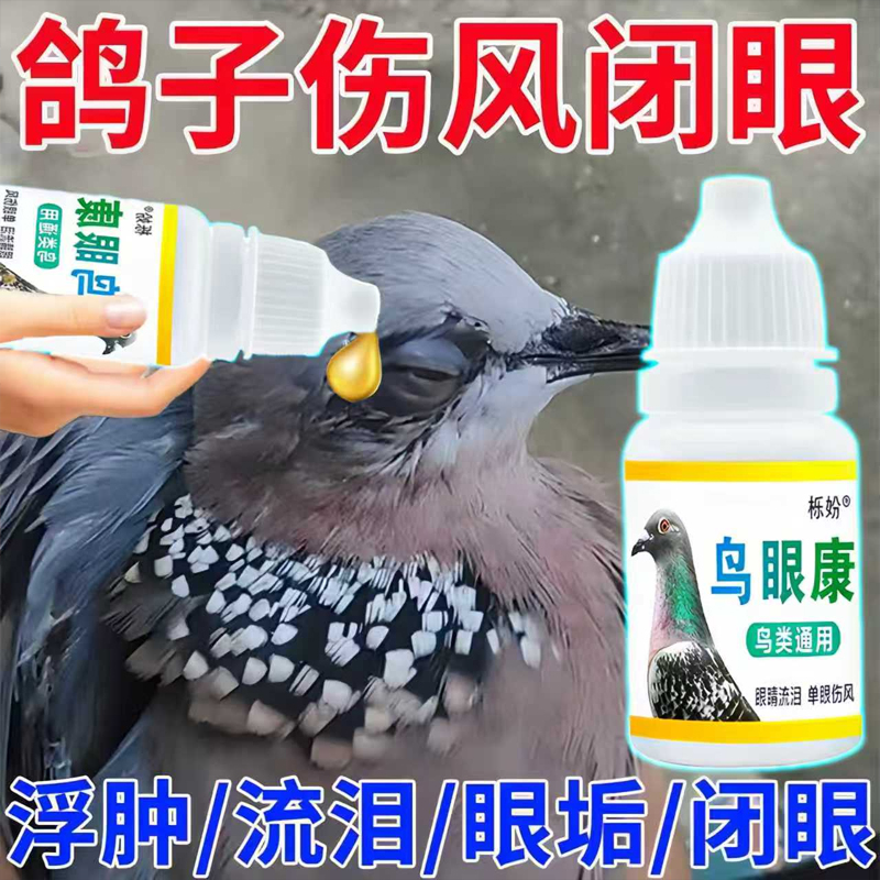 鸽子单眼伤风眼流泪肿胀闭眼流泪信鸽赛鸽幼鸽专用滴眼液