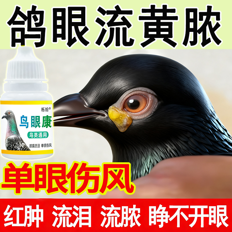 鸽子单眼伤风眼流泪肿胀闭眼流泪信鸽赛鸽幼鸽专用滴眼液