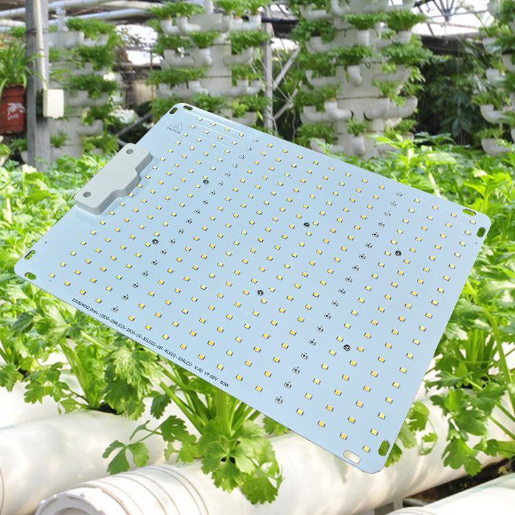 量子板物补光灯60W0100W2植00W40W全光谱LED植物OVK生长灯植物