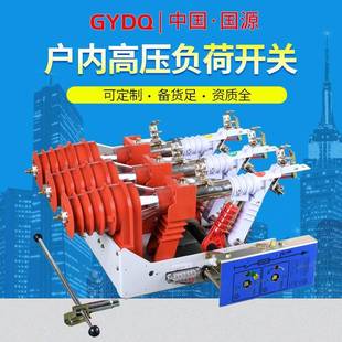 4658112RD 国源FN12高真压N空负荷开关F1 T125户2内10kv带熔断器