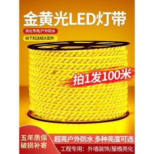 金黄光led灯带条220V工程亮化景观照明房檐外墙户外防水室外装饰