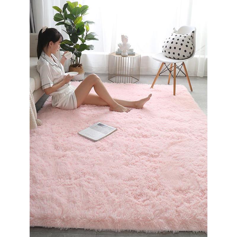 北欧ins风可爱地毯客厅卧室茶几地垫少女房间床边家用毛绒加厚毯
