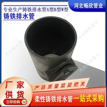 铸铁管配件wf型检查口110不锈钢卡箍连接排水管三通接头变径大小