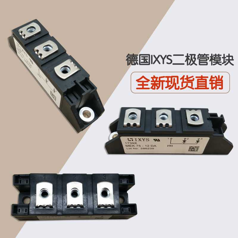 VUO110-08NO7 VUO110-12NO7 VUO110-14NO7艾赛斯整流桥功率模块