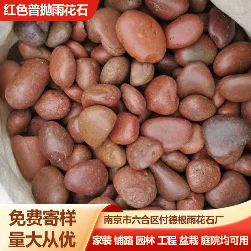 红色普抛鹅卵石 未精抛铺地铺路鹅卵石 园林工程景观铺设红色石子