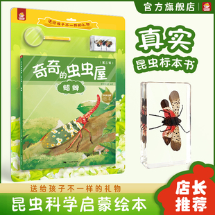 社出版 广西美术出版 9岁儿童节日生日礼物图书昆虫绘本科普书籍蜡蝉标本小孩启蒙亲近自然科普套装 奇奇乐读标本书第三辑正版