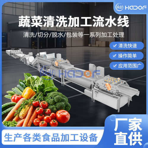 整体不锈钢西蓝花清洗机 叶菜类果蔬清洗去泥机 根茎类高压喷淋机