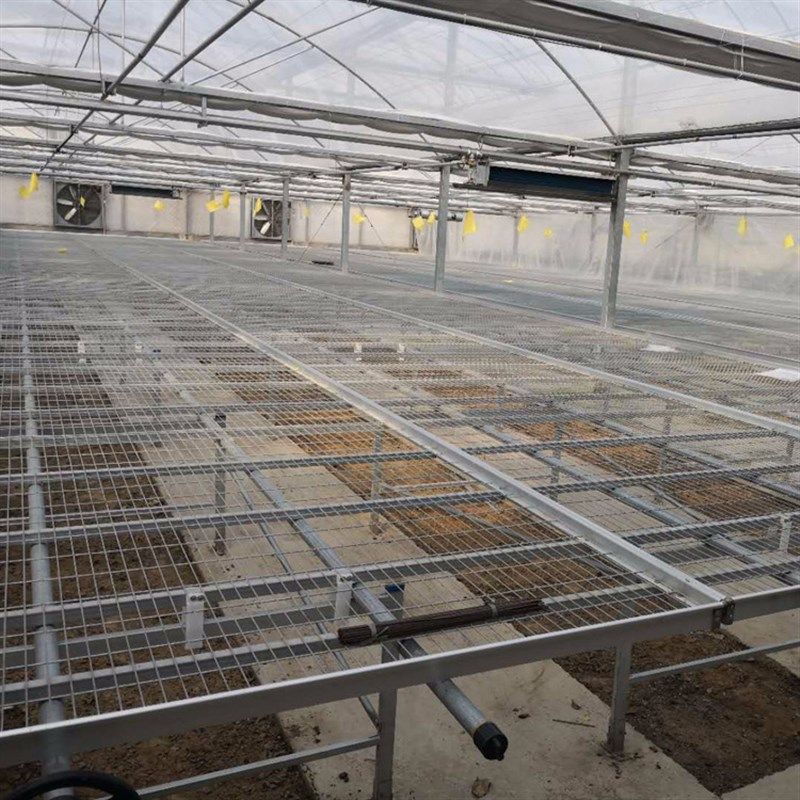 可移动热镀锌网片苗o床温室育苗设备固定花架养花网养植物多肉