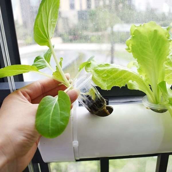 阳台种菜机壁挂式管道水培蔬菜无土栽培设备自动水耕多层种植架