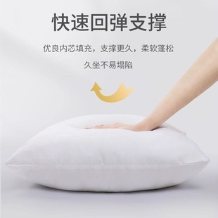 轻奢靠枕2025沙发床头客厅美式 新款 高级风大号抱椅子现代简约靠垫