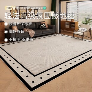 轻奢高级感家用沙发茶几毯卧室床边垫免打理地垫 客厅地毯2025新款