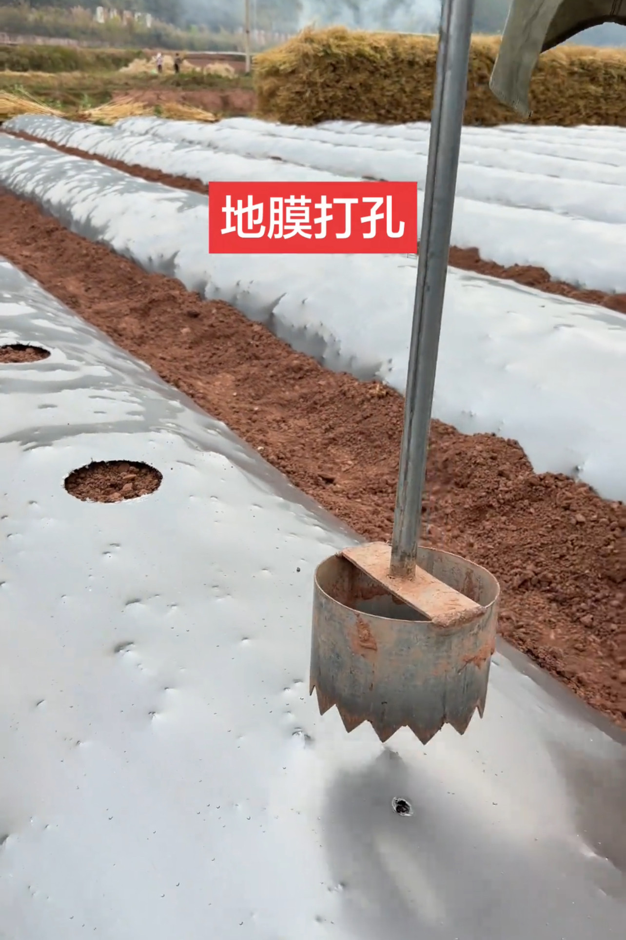 蔬菜水果种植大棚破膜取土开孔打洞神器地膜打孔神器小型农用工具