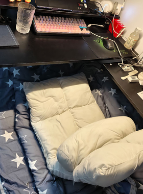 小沙发单人躺椅榻榻米卧室阳台无腿靠椅宿舍床上懒人沙发可睡可躺