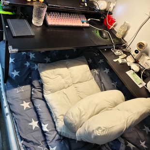 小沙发单人躺椅榻榻米卧室阳台无腿靠椅宿舍床上懒人沙发可睡可躺