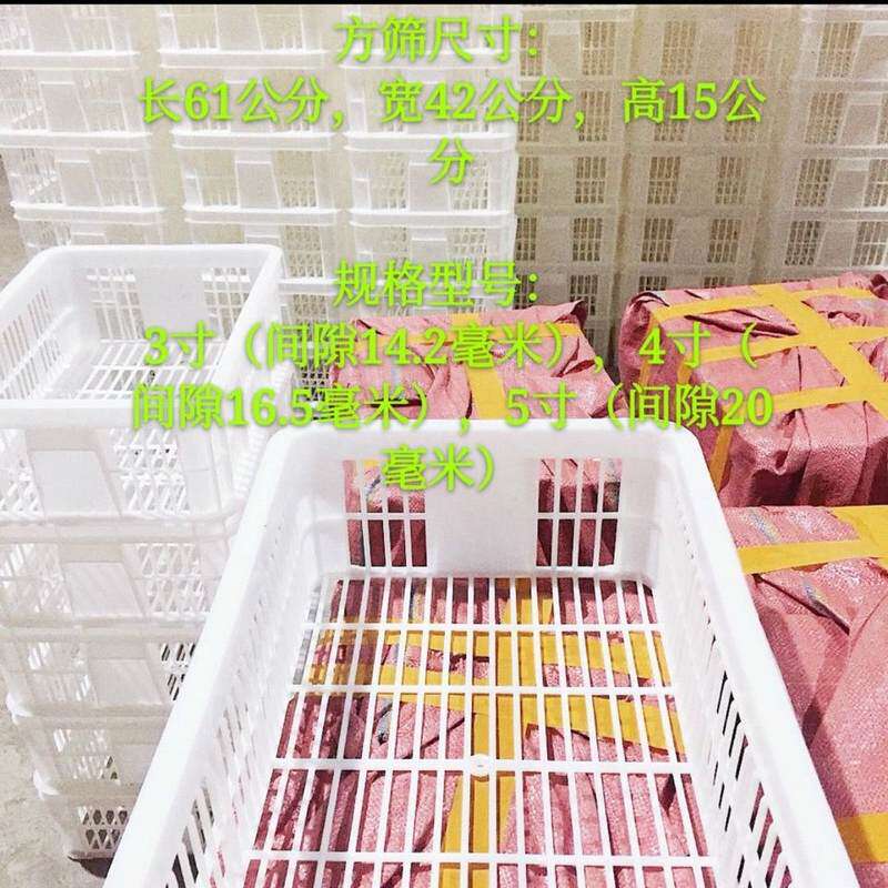 筛选龙虾的筛子小龙虾分级鱼苗虾苗分离泥鳅塑料分选分拣塞子方形