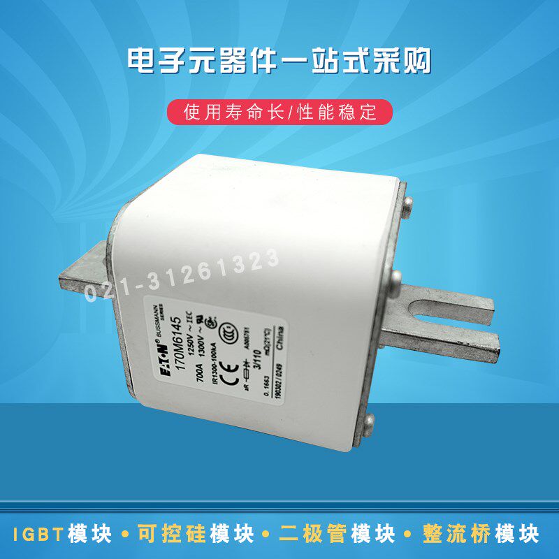 快速熔断器保险丝170M6146 6417 6148 6149 6450 6451 6459 6458