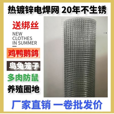 镀锌铁丝网护栏钢丝网防鼠网家用小孔电焊网片防护网围栏热镀养殖