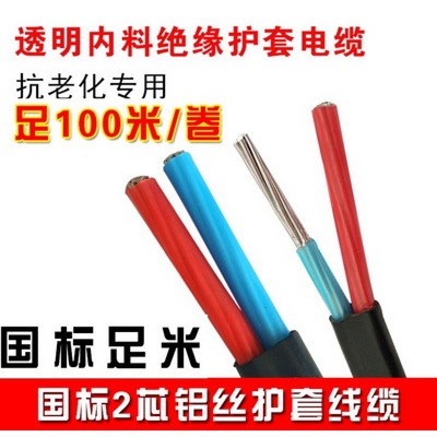 新品国标2.5 g4 6 10 16 25 35平方双芯铝线2股铝芯国标电缆护定