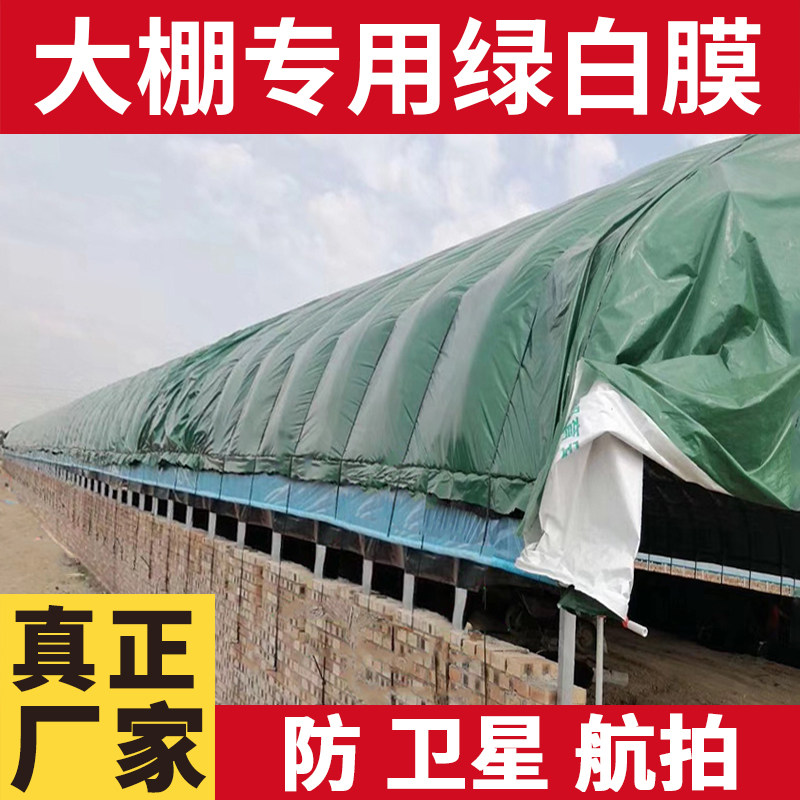 绿色大棚绿白膜黑白养殖膜防航拍照卫星香菇食用菌半透光塑料薄膜
