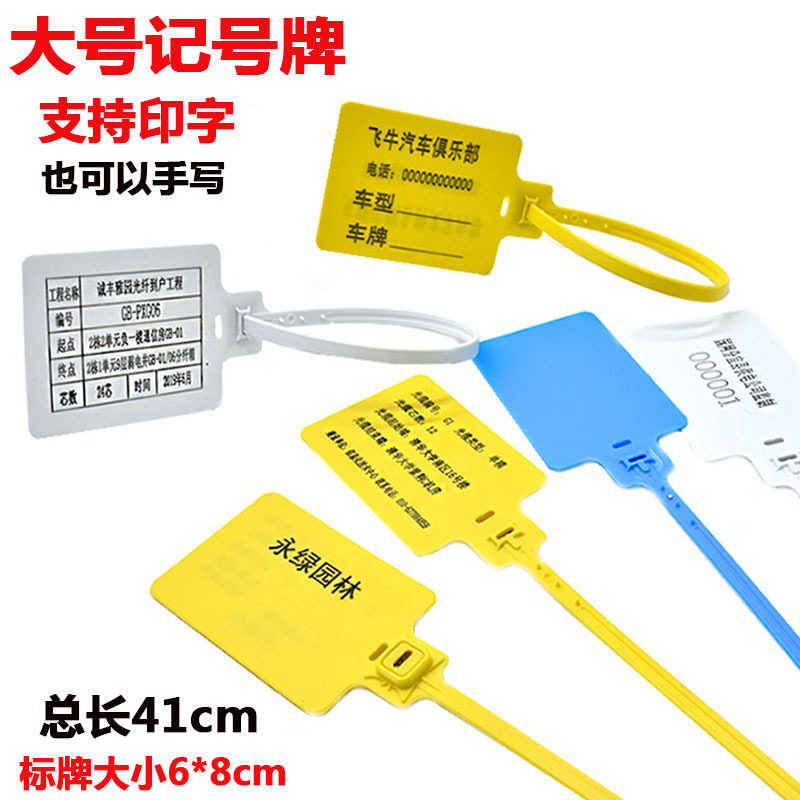 一次性塑料封条物流挂签集装箱吊牌标签扎带编织袋记号封签吊牌扣