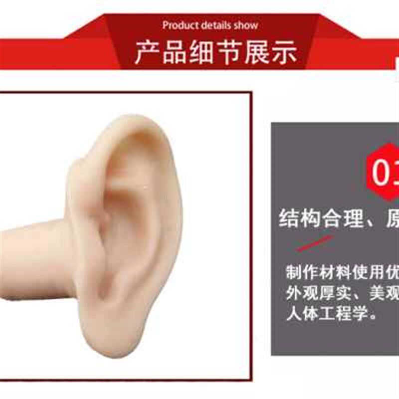 耳朵模型采耳工具硅胶真人大小耳孔耳道耳膜学员练习教学培训阿昌