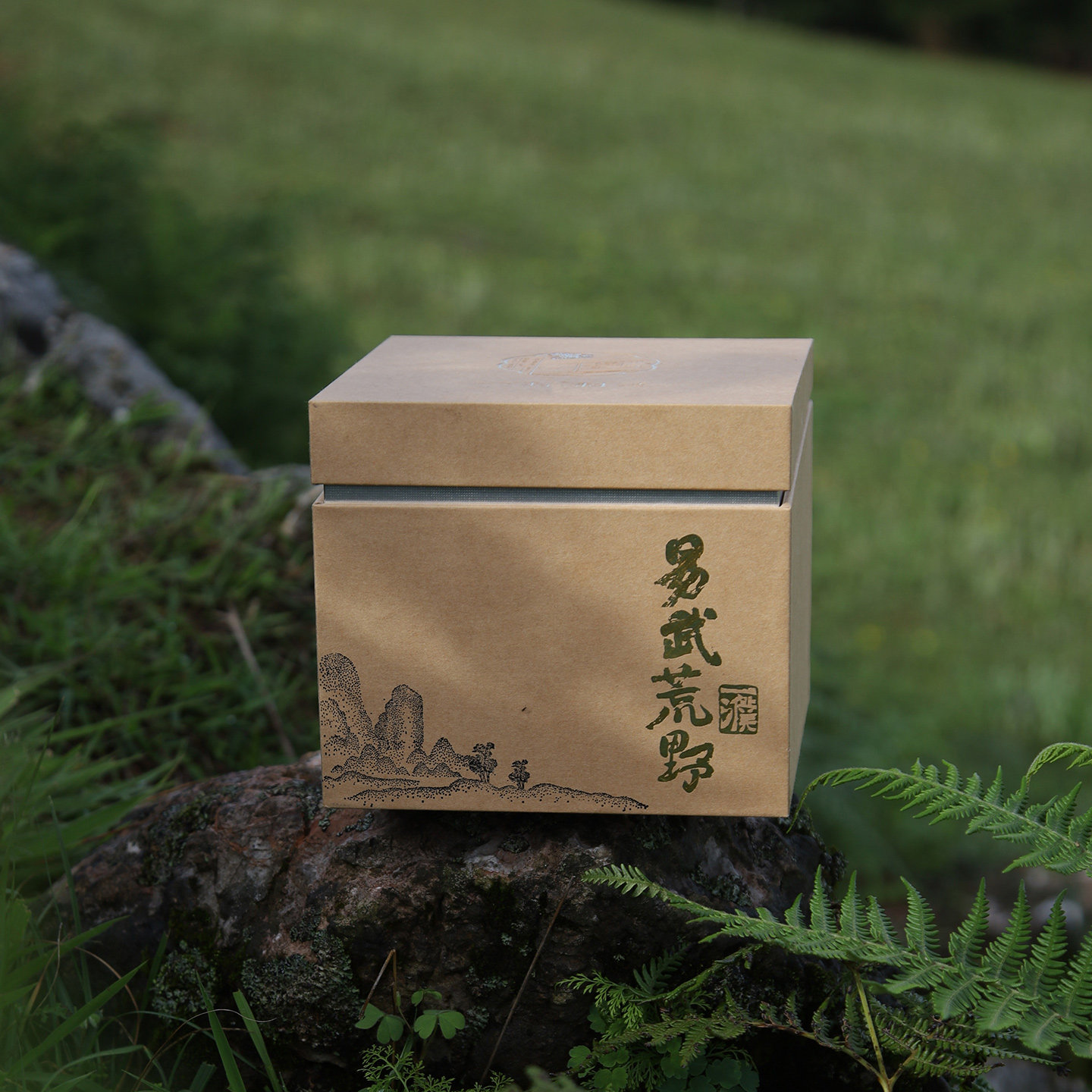 易武古树茶荒野2023弯弓区散茶易武老班章普洱茶生茶送礼盒装360g