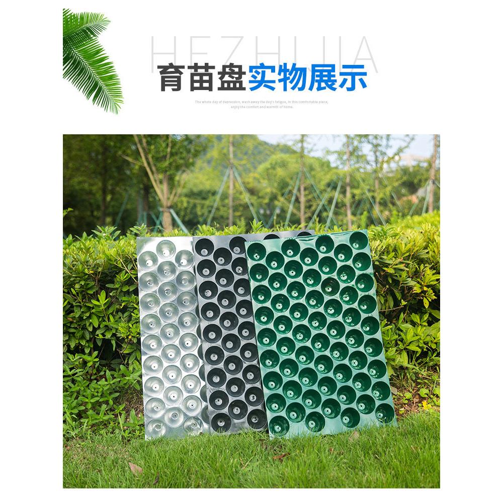 厂家直销秧盘育苗穴盘 育苗营养钵 蔬菜育种植 烤烟 育秧盘育苗盘